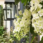 Hotel Villa Madame - Saint-Germain-Des-Pres