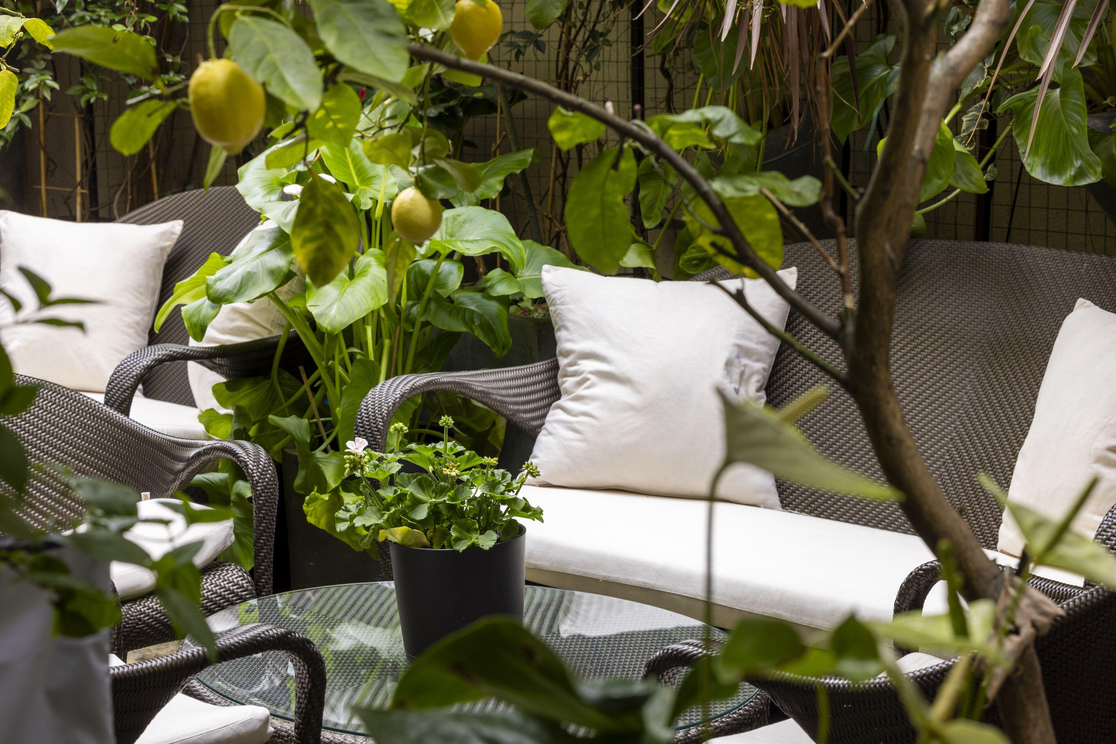 Madame - Saint-germain-des-pres Paris